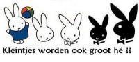 /album/fotogallerij/img1370956511-jpeg/